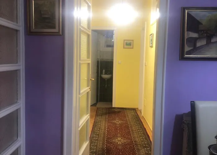 公寓 Victory 塞拉耶佛